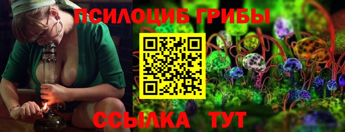 Псилоцибиновые грибы GOLDEN TEACHER Нурлат